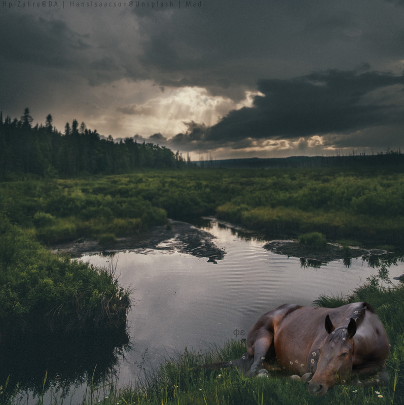 E272CE4C-940F-41AA-BDED-BD997F774302