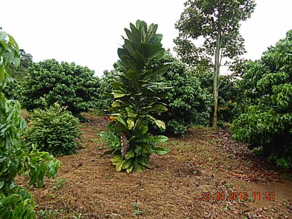 DSCN3477