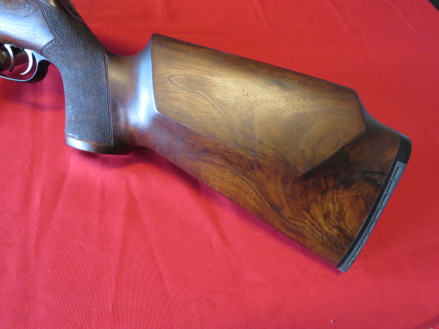 Waff-ank-Clearwater-067