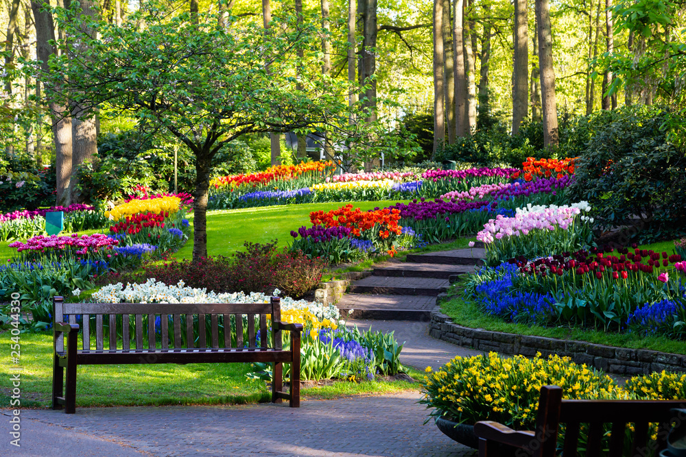 Travel to Keukenhof from Amsterdam