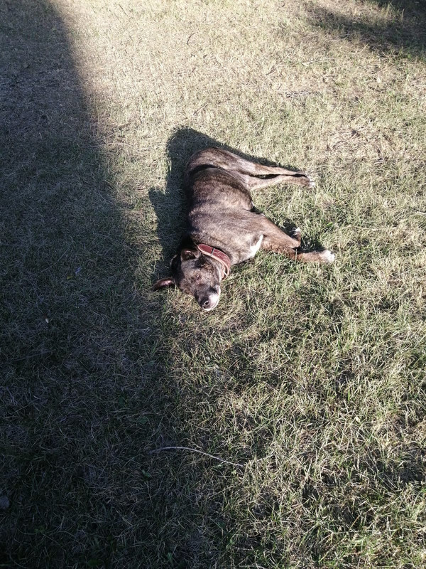 3BA42598-39A5-4BBB-9D31-EDE033013309