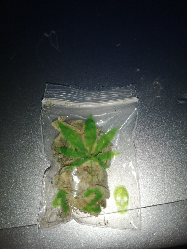 [Obrazek: received-549207019385107.jpg]