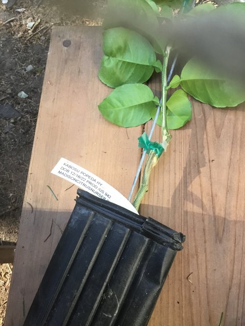 8235BE57-9A95-4B58-B620-7CAE8A28AD77