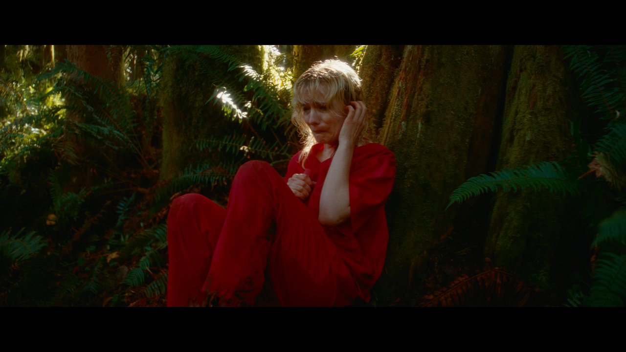 mpv shot Strange Darling 2023 2160p UHD BDRemux GER Transfer HDR DV HEVC Нечипорук 00 08 54 0003