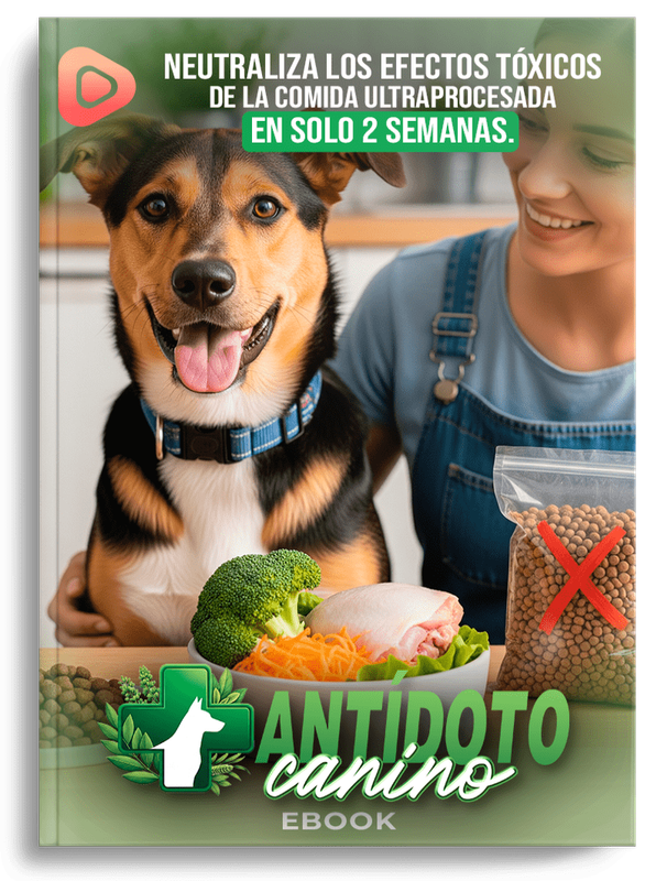 Comida natural para mascotas