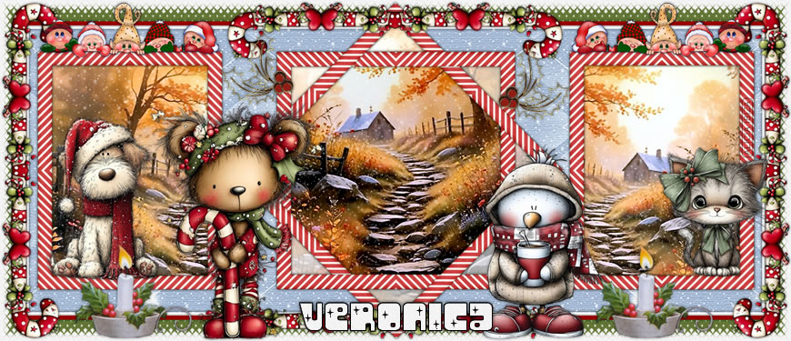 Christmas Cane veronica