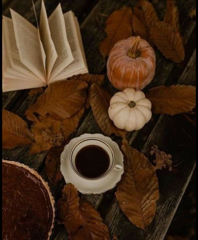 Screenshot_20251002_210124_Pinterest