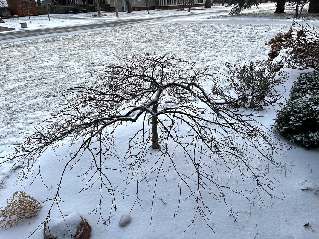 DEFB61A4-DA31-4555-967E-1E2123EC1F8E