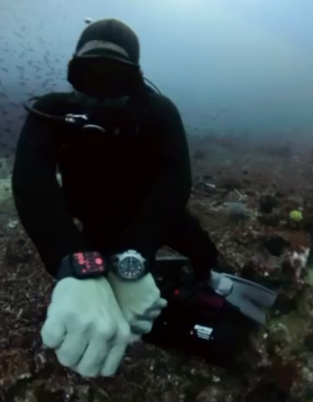 86D65411-83DF-4C2E-B65D-D28B0BA5E5D6