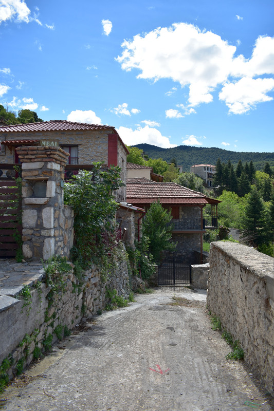 Βαμβακού (15)