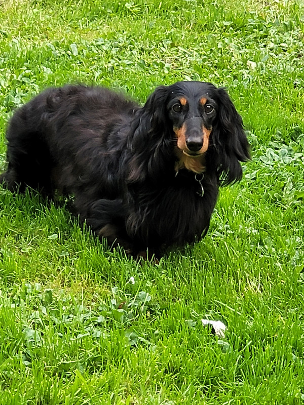 [Image: 20241007-172044.jpg]