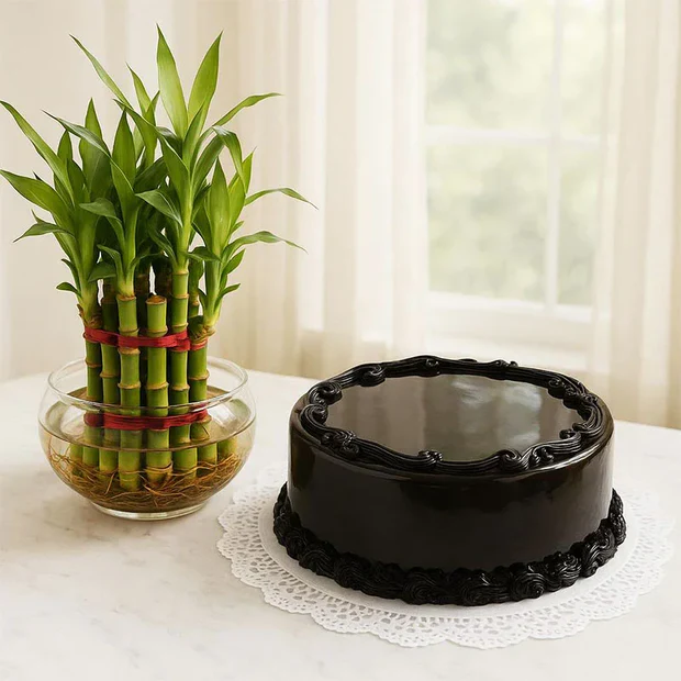 Dreamy Delights  Image