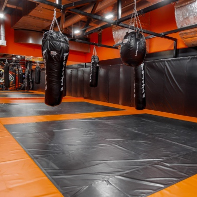 Tatami profesional con demarcación de área de combate