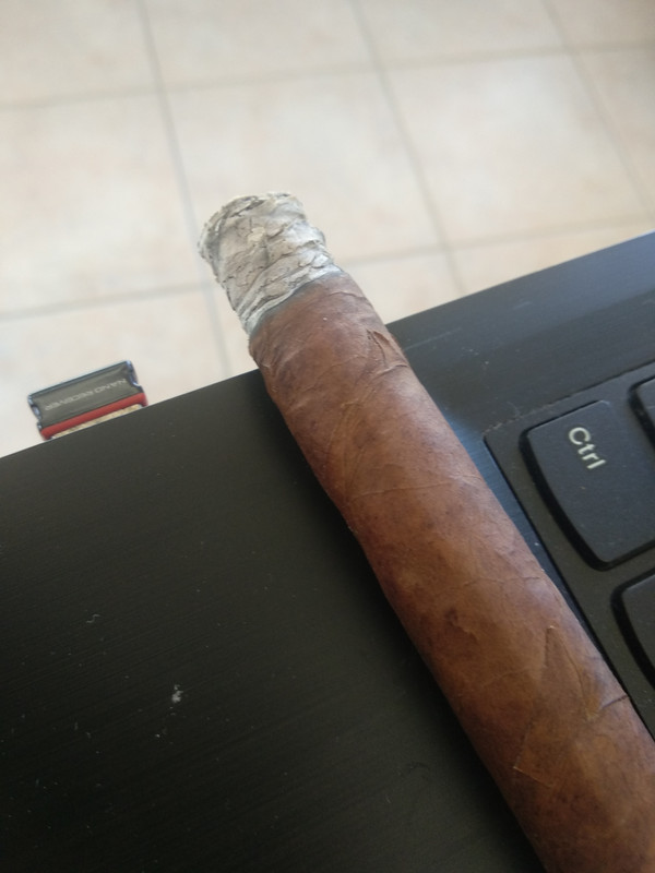 hoyo palmas extra 4