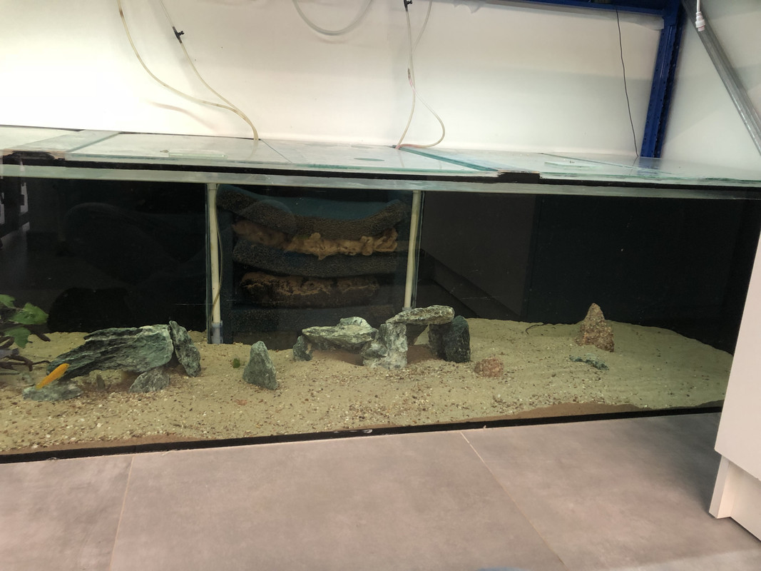 O0QSmewOR0qX9HLZk%kytw