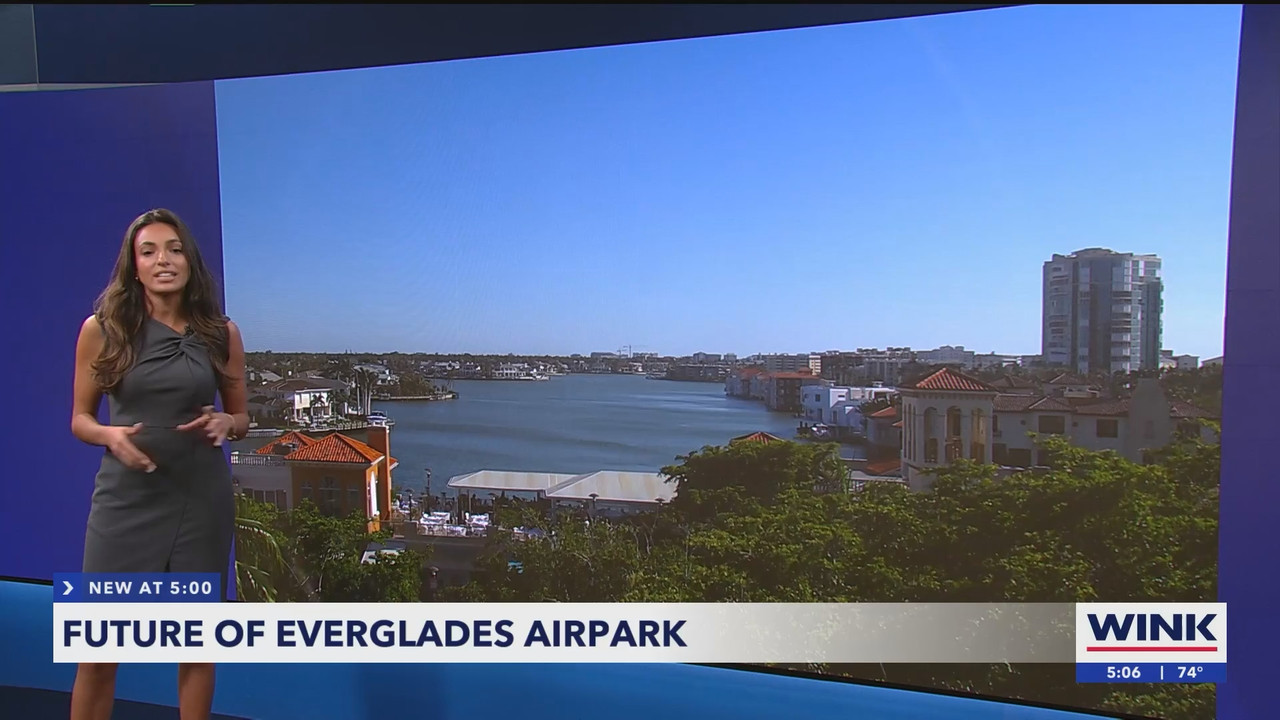 WINK News at 5pm_20250311_21002130.ts_snapshot_07.20.553