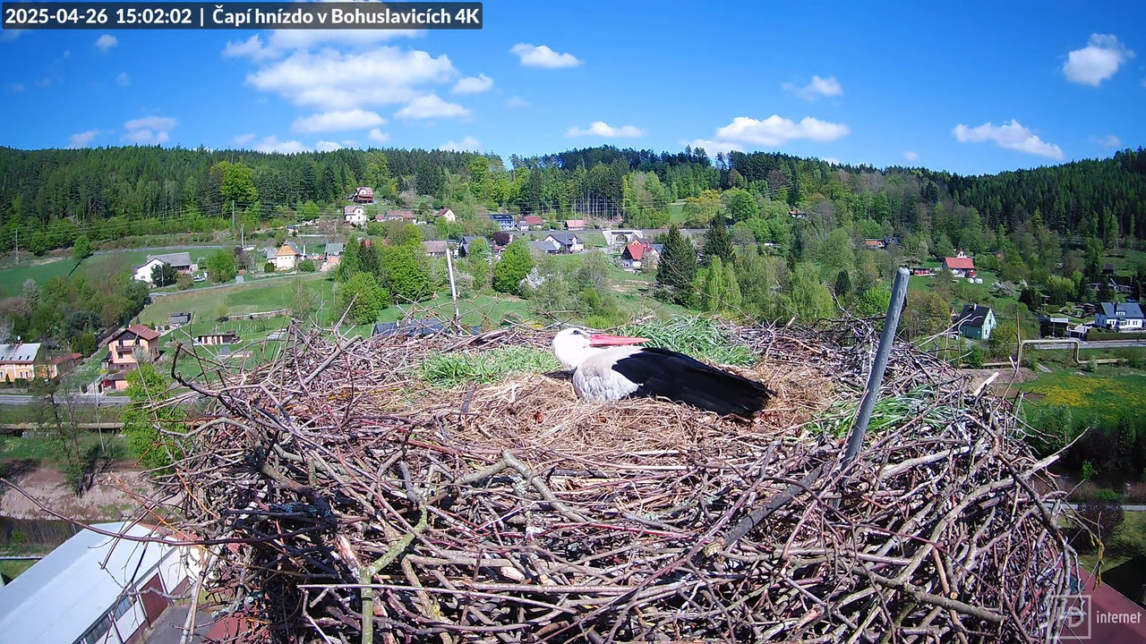Tiešraidē no uzņēmuma KARA stārķa skursteņa Bohuslavicē pie Trutnovas 10-37-56 screenshot