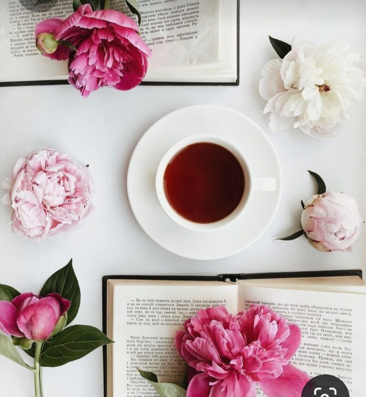 Screenshot_20230322_230828_Pinterest