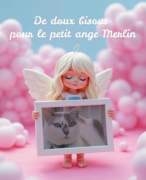 pixiz 02 12 2025 02 53 43