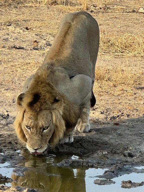 [Linked Image from i.postimg.cc]