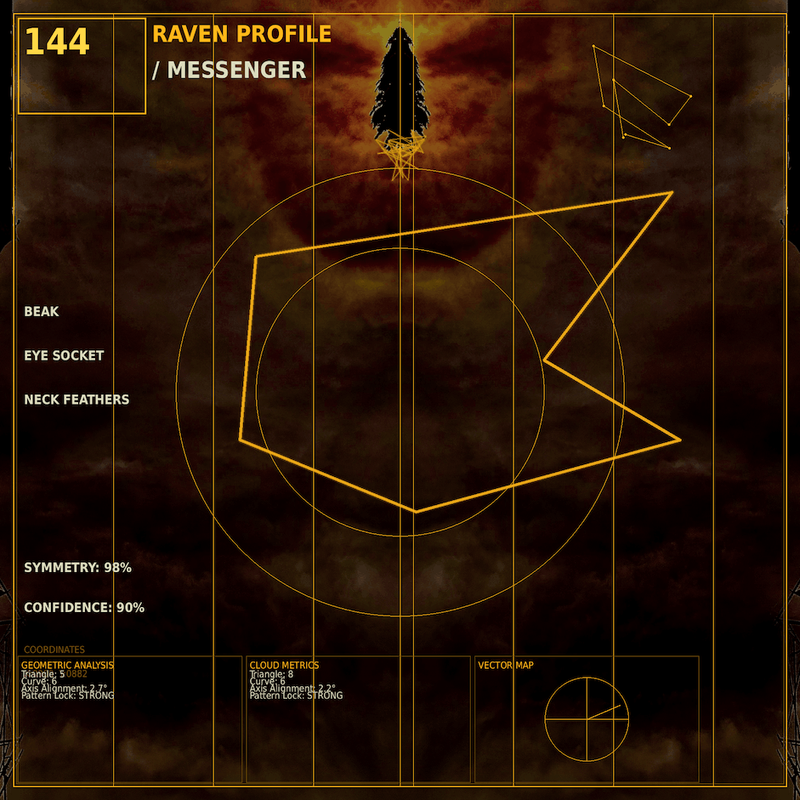 Raven profile