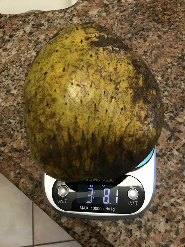 F784D023-E448-41FF-B1DE-2E99ABA72ED4