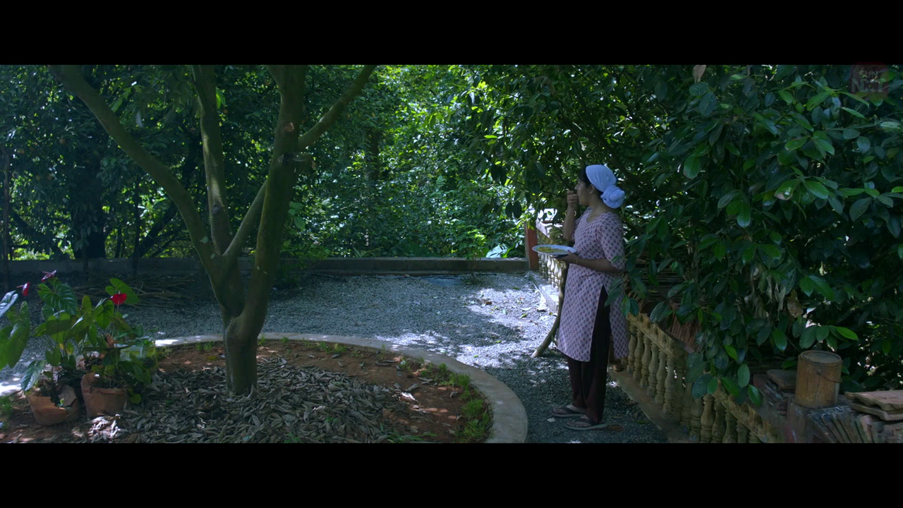 vlcsnap 2026 02 11 15h44m49s178