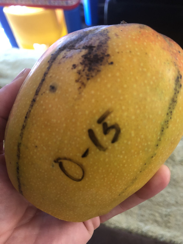 C508FFB4-32F4-4376-A720-178436271E31