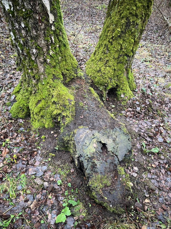 photo 2025 12 06 16 35 25
