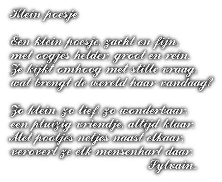 cooltext503588698497531