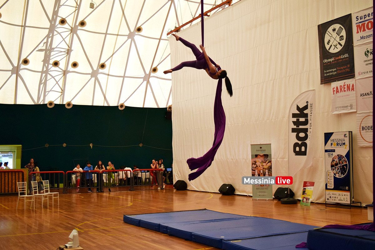 ΑΕΡΙΑΛDSC_0877