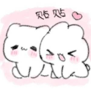 贴贴