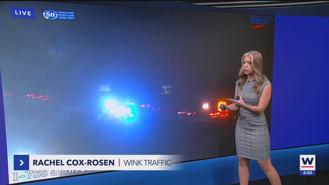 WINK News at 600am_20241101_10001030.ts_snapshot_02.47.411
