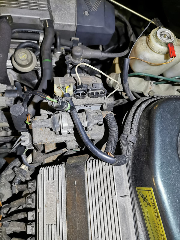 WhatsApp Image 2024-02-03 à 15.51.35_b601d5dc