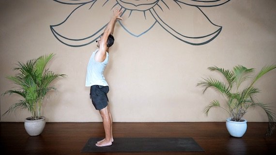 The Collective Yoga - Back to Basics 3 - Sun Salute C