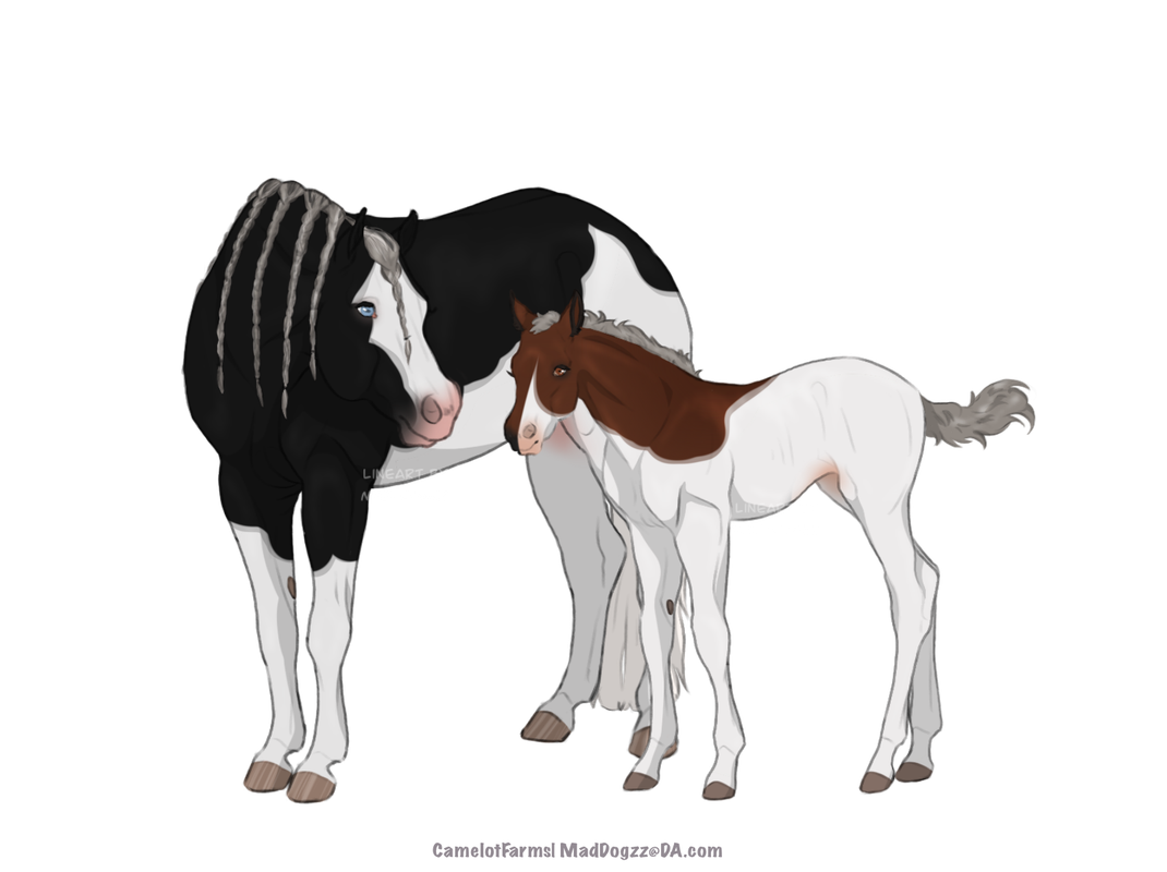 547BB978-30C4-4CDB-A744-F63D3B16DC90