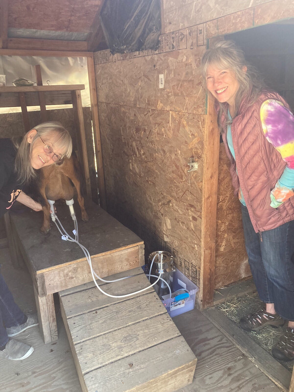 EBE7D2BB-9A7E-4158-8C78-895A895A5D89