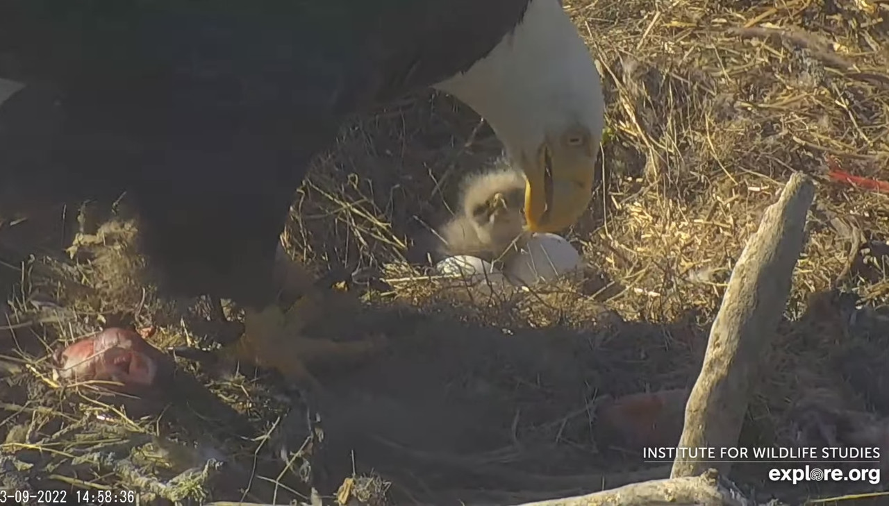 C9D214C5-4966-4E6C-8324-C933E297E695