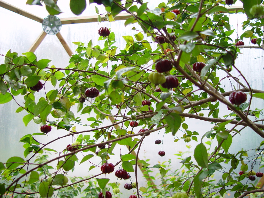 AD53C915-9EF6-49B9-AC00-B8812CBB3A60_1_105_c