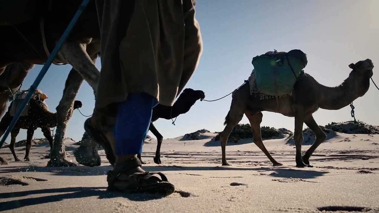 El Sahara Occidental - Blogs de Marruecos - Al Sur del Sur (7)