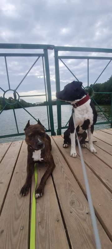 2B869A93-015E-4C4D-86AB-D6A9D4B19D96