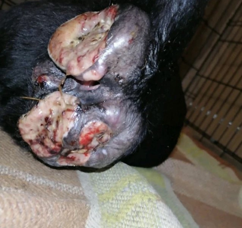 18628C0B-4B89-47C1-95AF-B44C105B7614