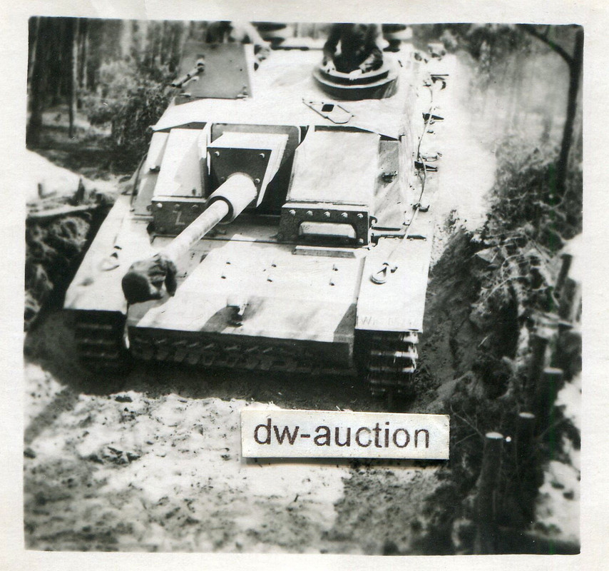 Sturmgeschütz im Gelände mit Langrohr (1)