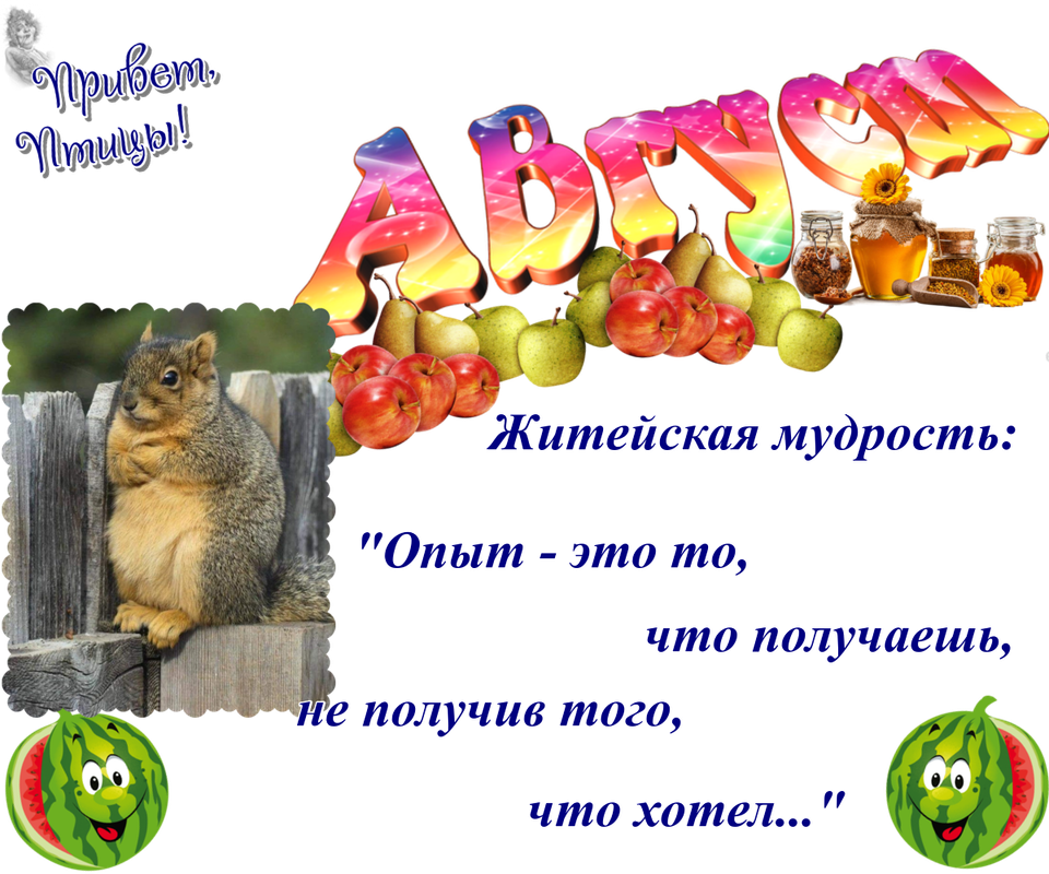https://i.postimg.cc/NjJ1RhH1/15-08.png