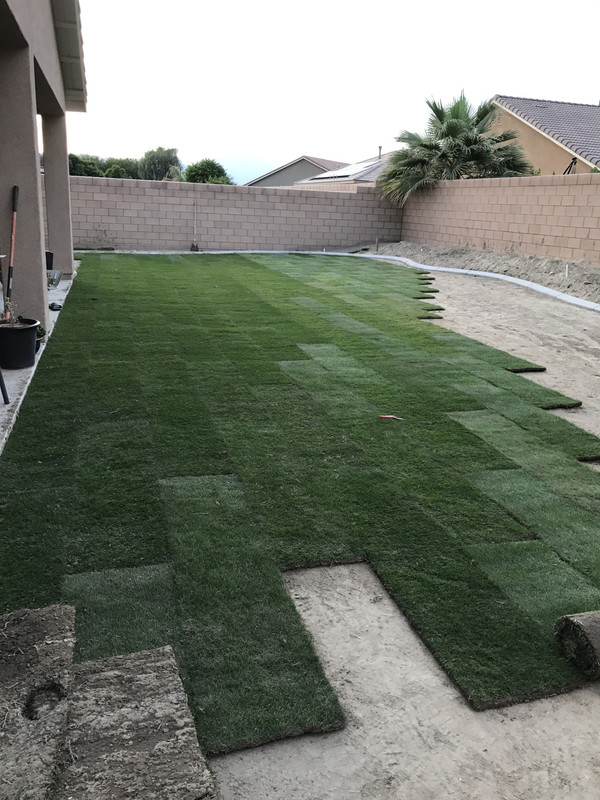 53205339792__2EAD3318-ADB8-4876-81E7-69506F9550BB