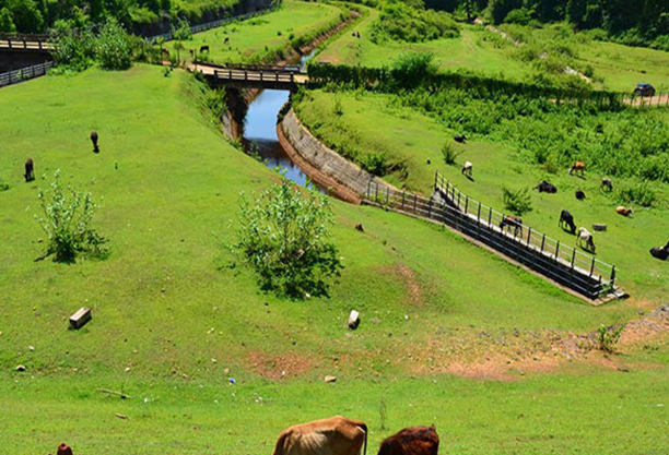 Things To Do Coorg