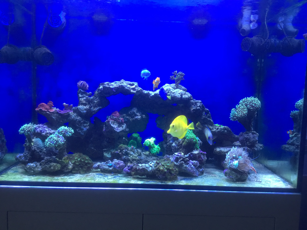 DE1DD8FB-FC54-42FA-B1CA-EADE9F91791F