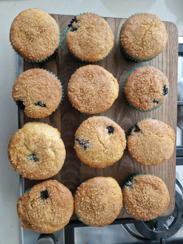 A top-down view of delicious homemade muffins