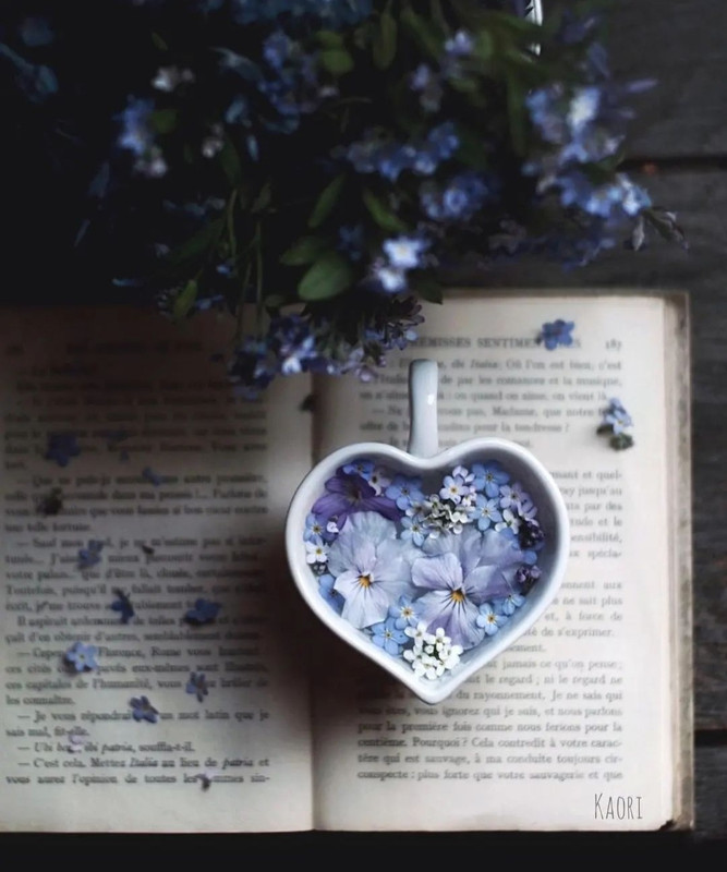 Screenshot_20240112_233517_Instagram