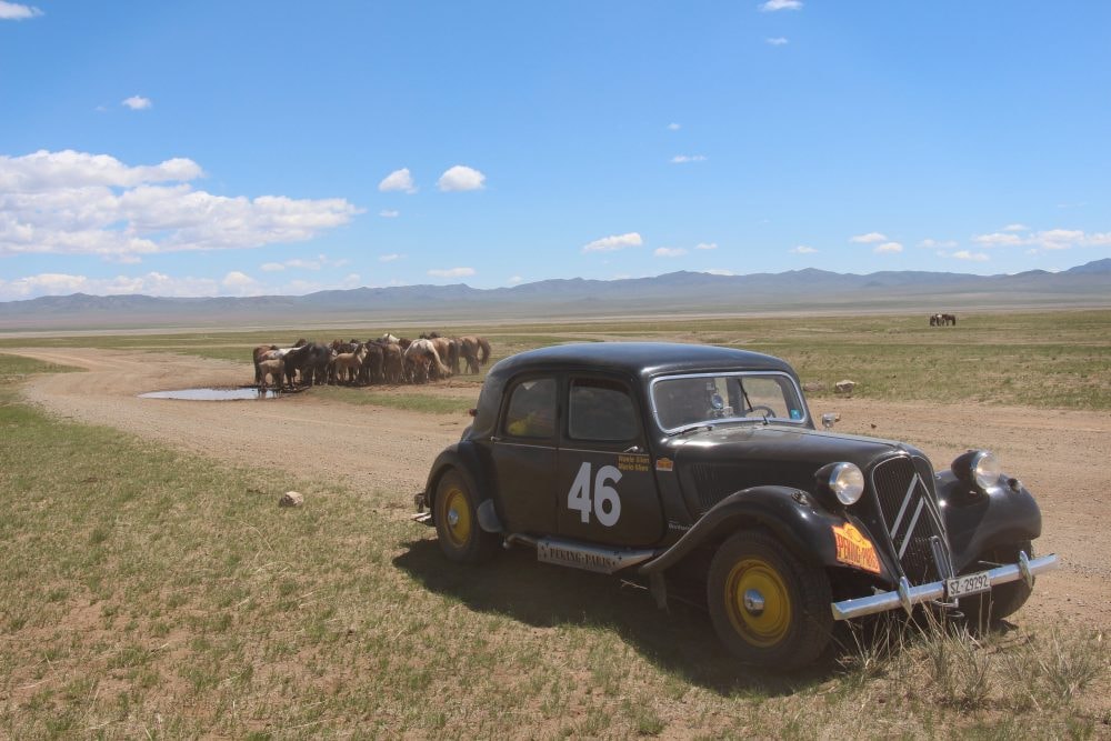 196426219_4286203161442181_8635522892432810739_n